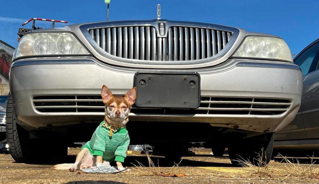 Sell Your Car, for Cash Ugly Cars For Sale